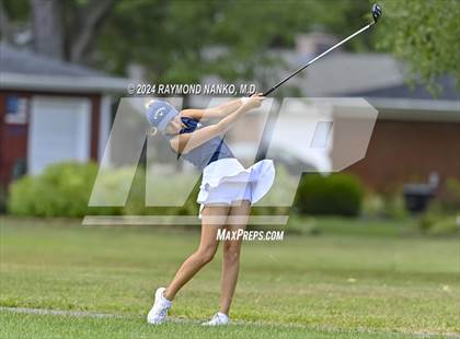 Thumbnail 2 in Delaware County Tournament photogallery.