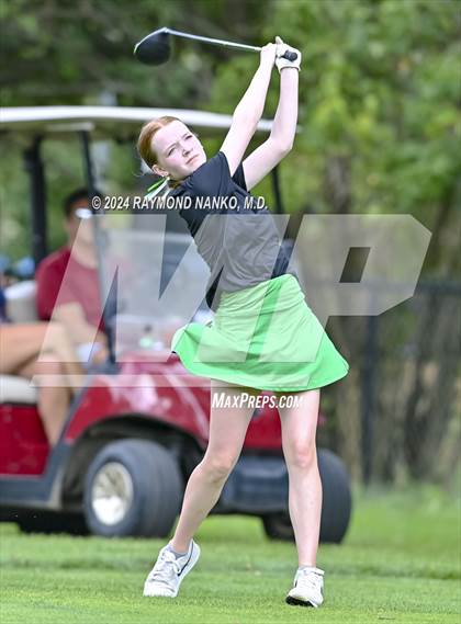 Thumbnail 2 in Delaware County Tournament photogallery.