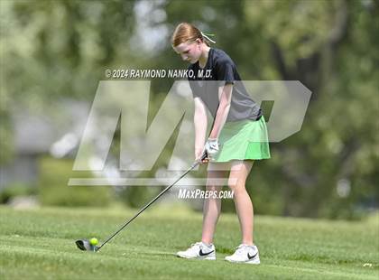Thumbnail 3 in Delaware County Tournament photogallery.