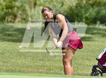 Thumbnail 1 in Delaware County Tournament photogallery.