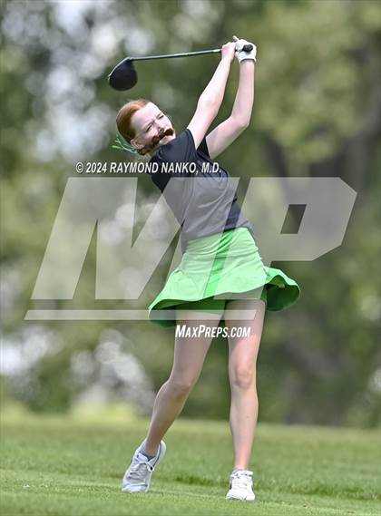 Thumbnail 2 in Delaware County Tournament photogallery.