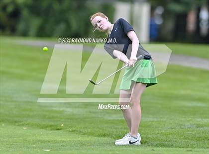 Thumbnail 1 in Delaware County Tournament photogallery.