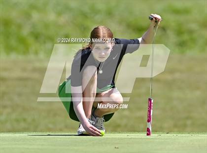 Thumbnail 3 in Delaware County Tournament photogallery.