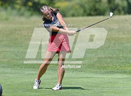 Thumbnail 2 in Delaware County Tournament photogallery.