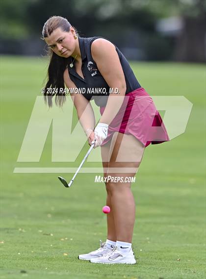 Thumbnail 1 in Delaware County Tournament photogallery.