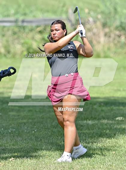 Thumbnail 2 in Delaware County Tournament photogallery.