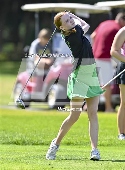 Thumbnail 2 in Delaware County Tournament photogallery.