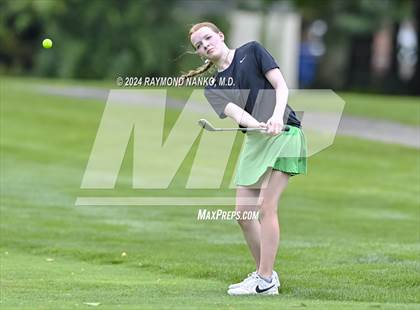 Thumbnail 2 in Delaware County Tournament photogallery.