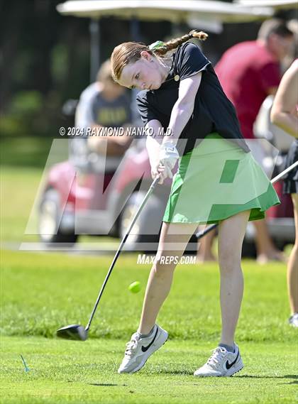 Thumbnail 3 in Delaware County Tournament photogallery.