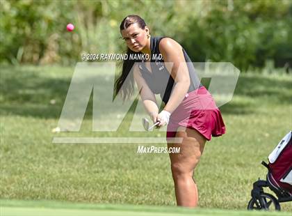 Thumbnail 2 in Delaware County Tournament photogallery.
