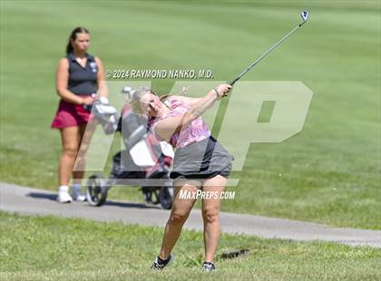 Thumbnail 1 in Delaware County Tournament photogallery.