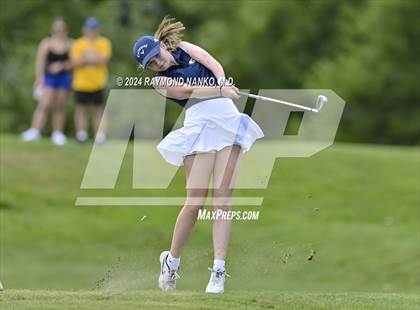 Thumbnail 3 in Delaware County Tournament photogallery.
