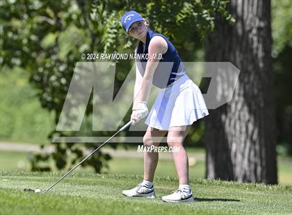 Thumbnail 1 in Delaware County Tournament photogallery.
