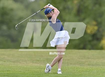 Thumbnail 3 in Delaware County Tournament photogallery.