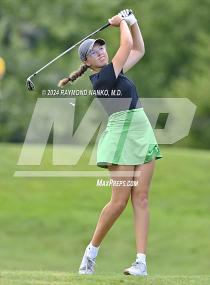 Thumbnail 2 in Delaware County Tournament photogallery.