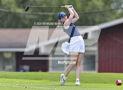 Thumbnail 2 in Delaware County Tournament photogallery.