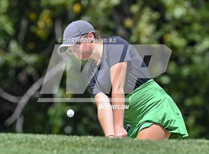 Thumbnail 1 in Delaware County Tournament photogallery.