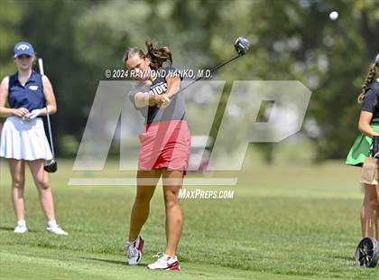 Thumbnail 2 in Delaware County Tournament photogallery.