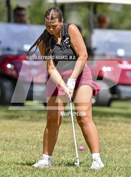 Thumbnail 3 in Delaware County Tournament photogallery.