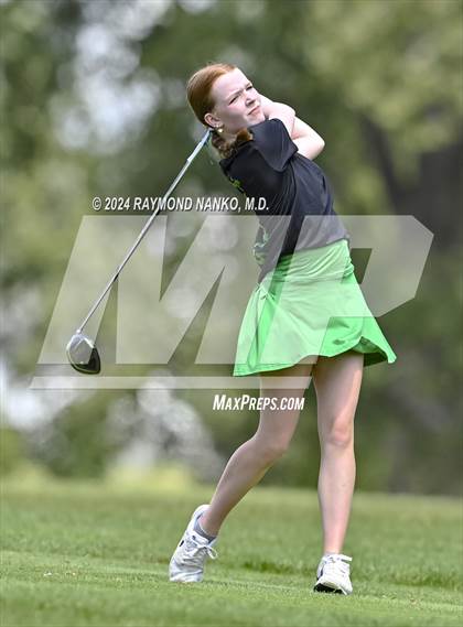 Thumbnail 3 in Delaware County Tournament photogallery.