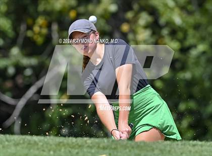 Thumbnail 3 in Delaware County Tournament photogallery.