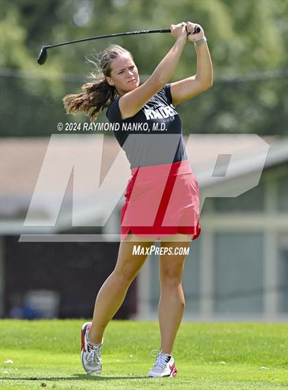 Thumbnail 2 in Delaware County Tournament photogallery.