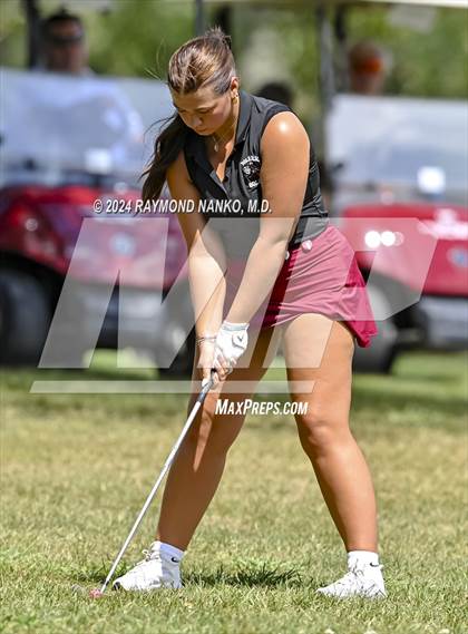 Thumbnail 2 in Delaware County Tournament photogallery.