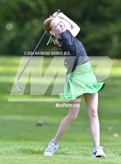 Thumbnail 2 in Delaware County Tournament photogallery.