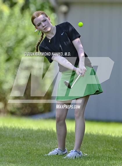 Thumbnail 1 in Delaware County Tournament photogallery.