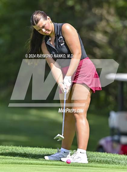 Thumbnail 2 in Delaware County Tournament photogallery.