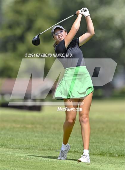 Thumbnail 2 in Delaware County Tournament photogallery.