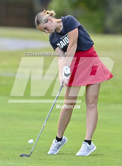 Thumbnail 2 in Delaware County Tournament photogallery.