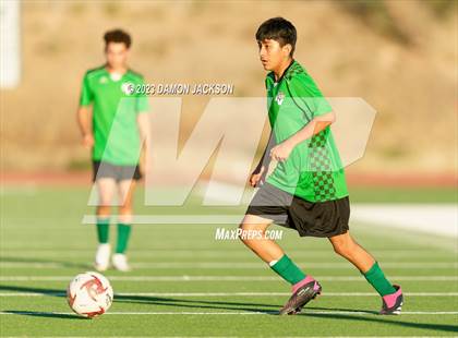 Thumbnail 3 in Pahrump Valley @ Virgin Valley photogallery.