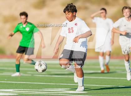 Thumbnail 2 in Pahrump Valley @ Virgin Valley photogallery.