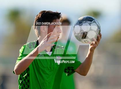 Thumbnail 3 in Pahrump Valley @ Virgin Valley photogallery.