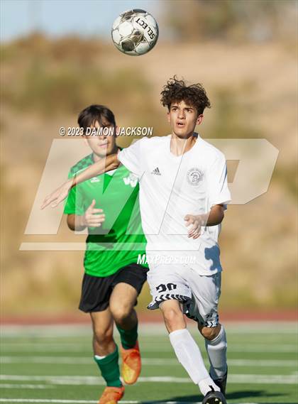Thumbnail 2 in Pahrump Valley @ Virgin Valley photogallery.