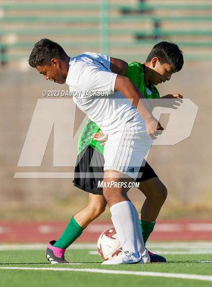 Thumbnail 3 in Pahrump Valley @ Virgin Valley photogallery.