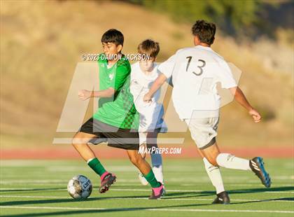 Thumbnail 1 in Pahrump Valley @ Virgin Valley photogallery.