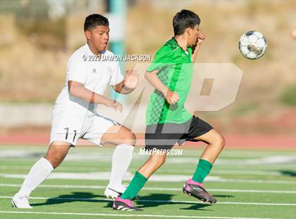 Thumbnail 1 in Pahrump Valley @ Virgin Valley photogallery.