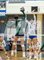 Photo from the gallery "Mission San Jose @ Newark Memorial"