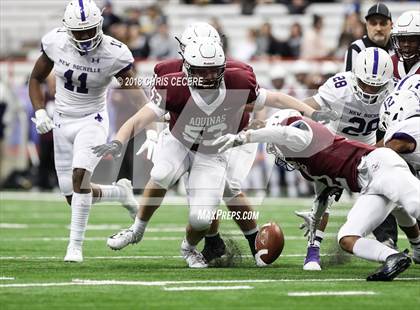 Thumbnail 3 in New Rochelle vs. Aquinas Institute (NYSPHSAA Class AA Final) photogallery.