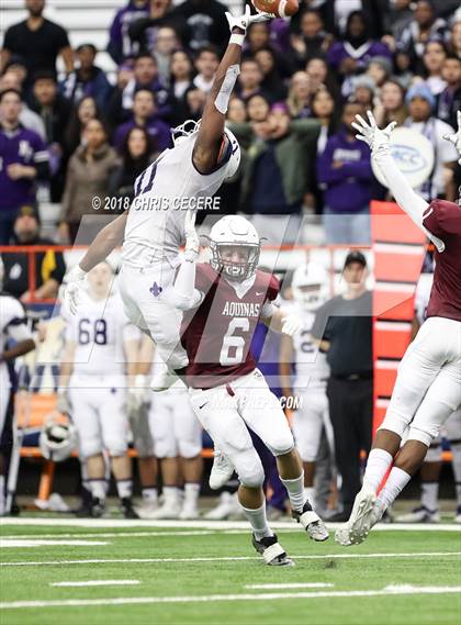 Thumbnail 1 in New Rochelle vs. Aquinas Institute (NYSPHSAA Class AA Final) photogallery.