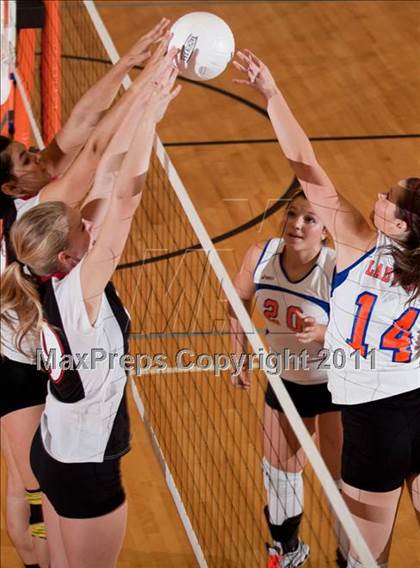 Thumbnail 2 in Maryville @ William Blount photogallery.