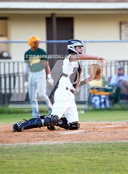 Thumbnail 3 in Havelock Baseball (Extending the Season) photogallery.