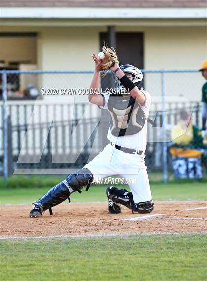 Thumbnail 3 in Havelock Baseball (Extending the Season) photogallery.