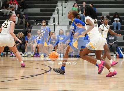 Thumbnail 1 in Tupelo @ Hernando photogallery.