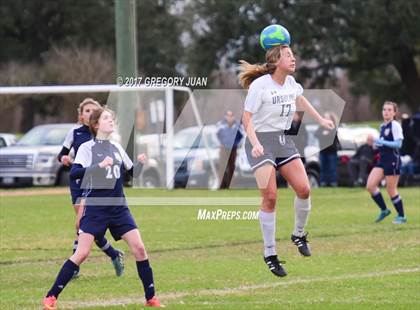 Thumbnail 3 in Lusher @ Ursuline Academy photogallery.
