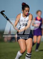 Photo from the gallery "Danville @ Mifflinburg"