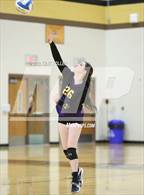 Photo from the gallery "Avondale @ Adams"