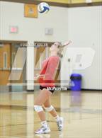 Photo from the gallery "Avondale @ Adams"